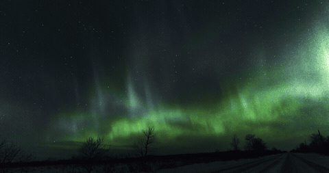 Animated loop of the same aurora timelapse: green curtains strobing and drifting over the snowy road, 20 seconds at 12 frames a second.