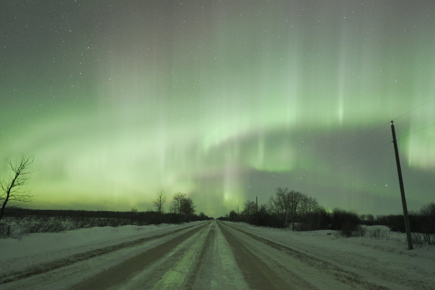Green aurora arcing across the sky in vertical curtains over a snow-covered rural road, bare trees and a hydro pole on the horizon.