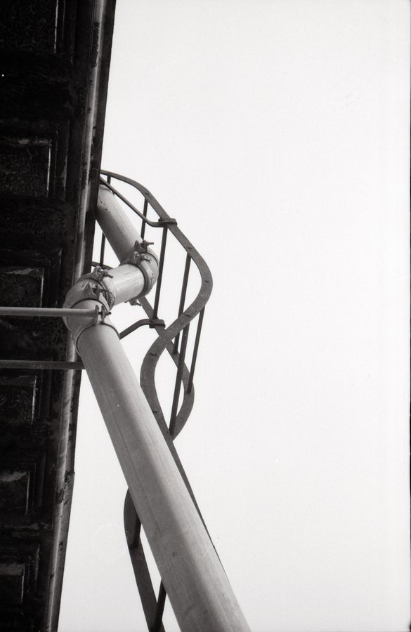 Against a white sky, black and white 35mm film.